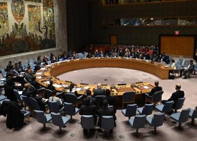 شورای امنیت، قطعنامه کمک رسانی به شمال سوریه را تمدید کرد